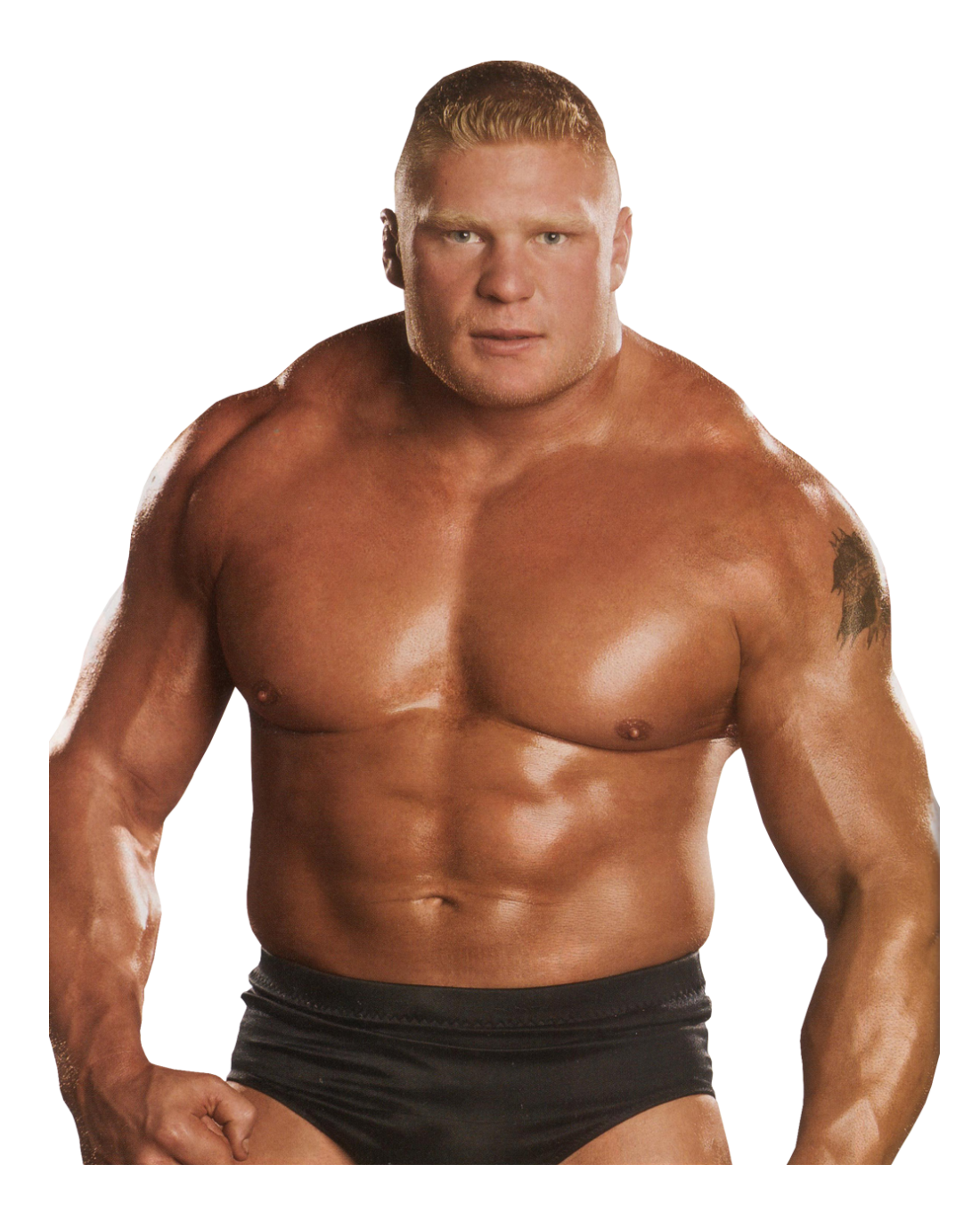 Brock Lesnar PNG HD and HQ Image pngteam.com