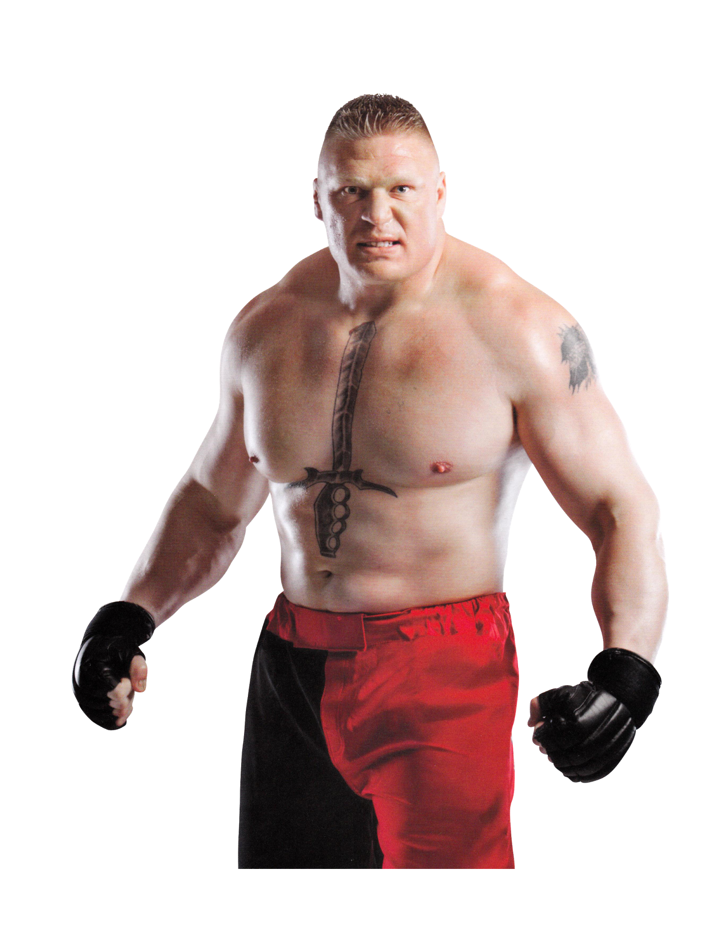 Brock Lesnar PNG HD and HQ Image pngteam.com