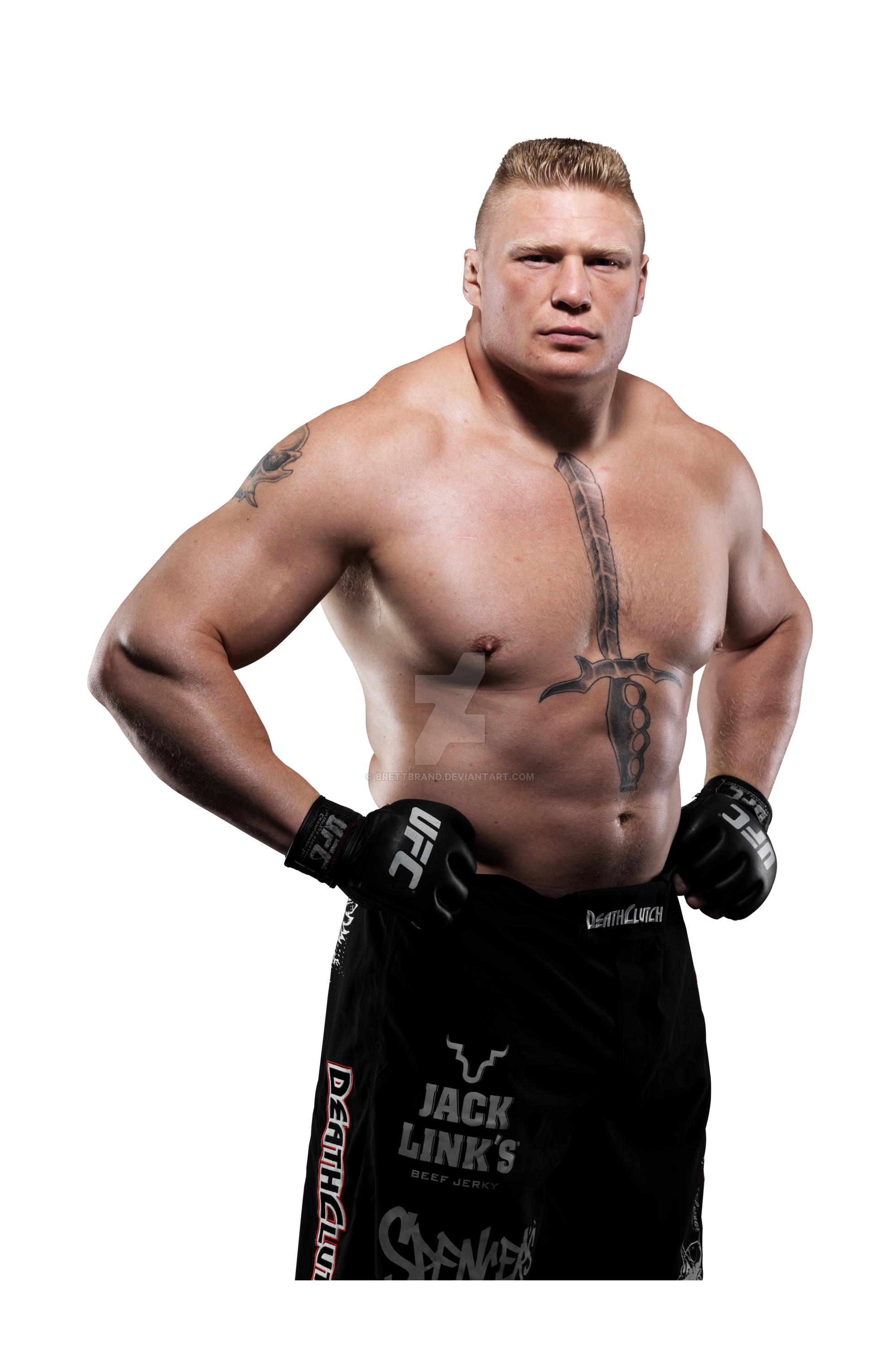 Brock Lesnar PNG Picture pngteam.com