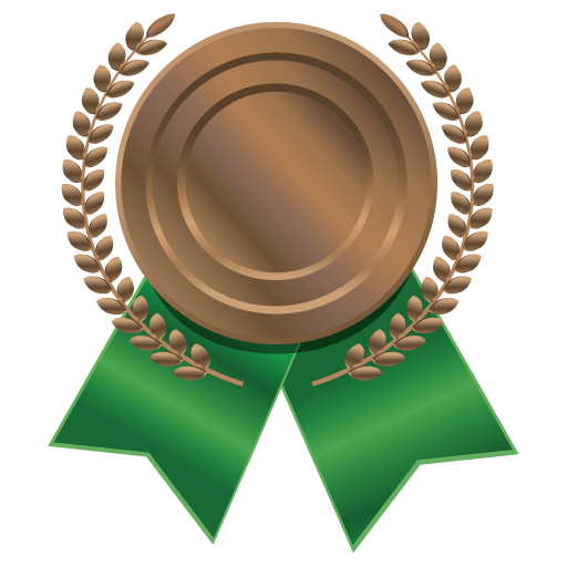 Bronze Medal PNG HD pngteam.com