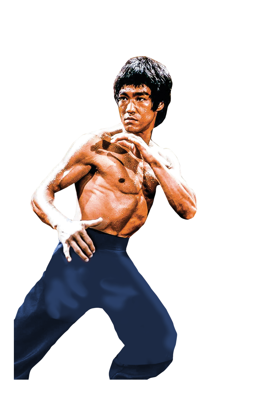 Bruce Lee PNG Images  Transparent pngteam.com