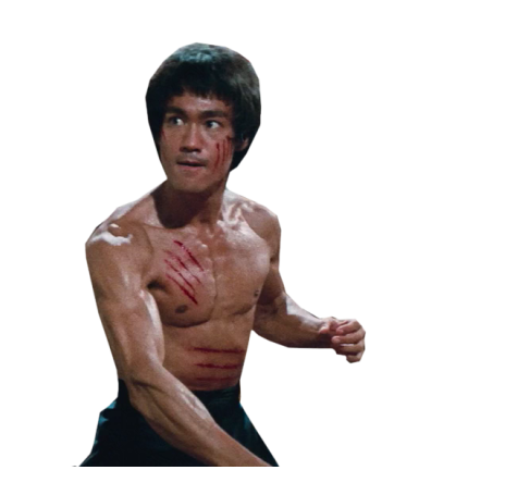 Bruce Lee Fight PNG Best Image  Transparent - Bruce Lee Png