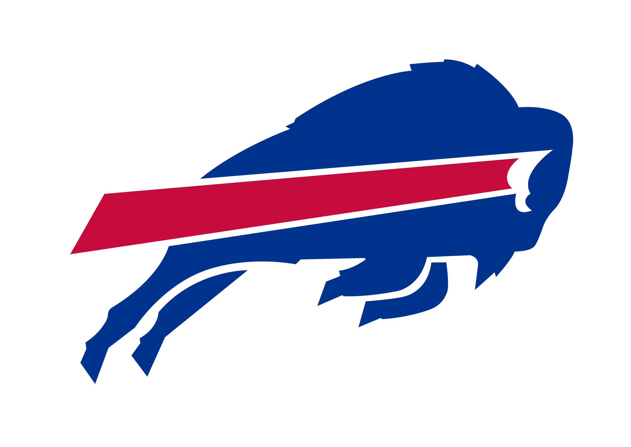 Buffalo Bills Logo PNG Photo