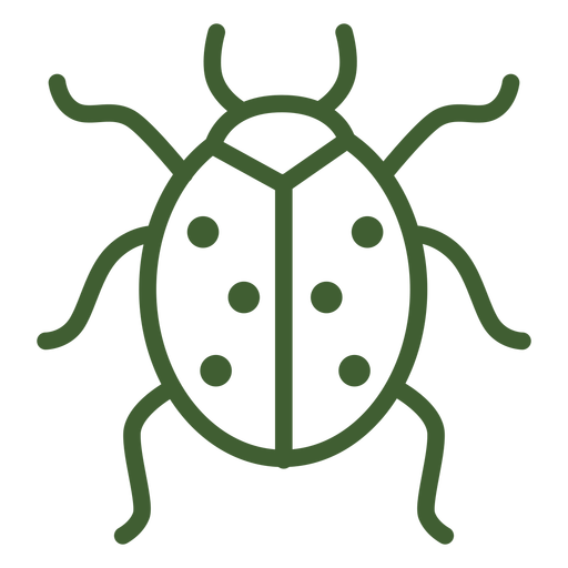 Bug PNG Photo pngteam.com