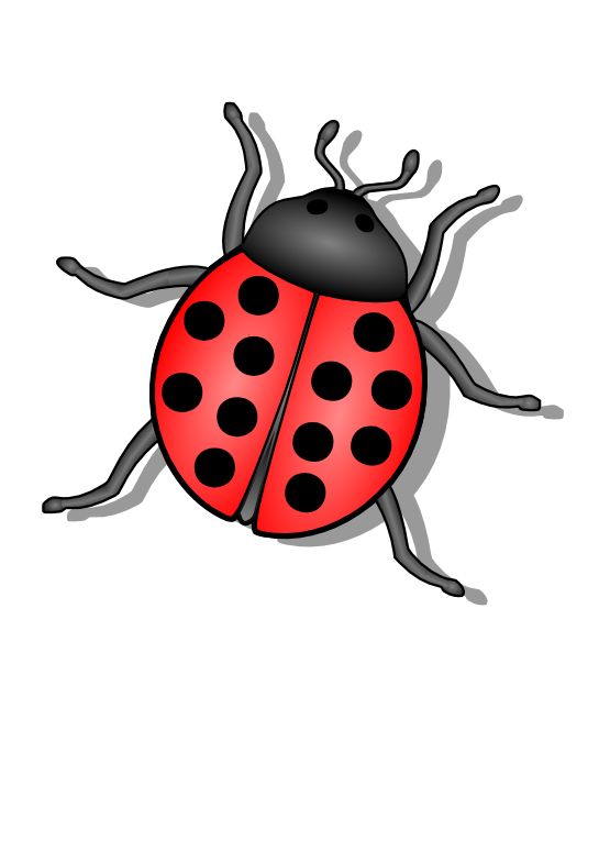 Bug PNG HQ Image pngteam.com