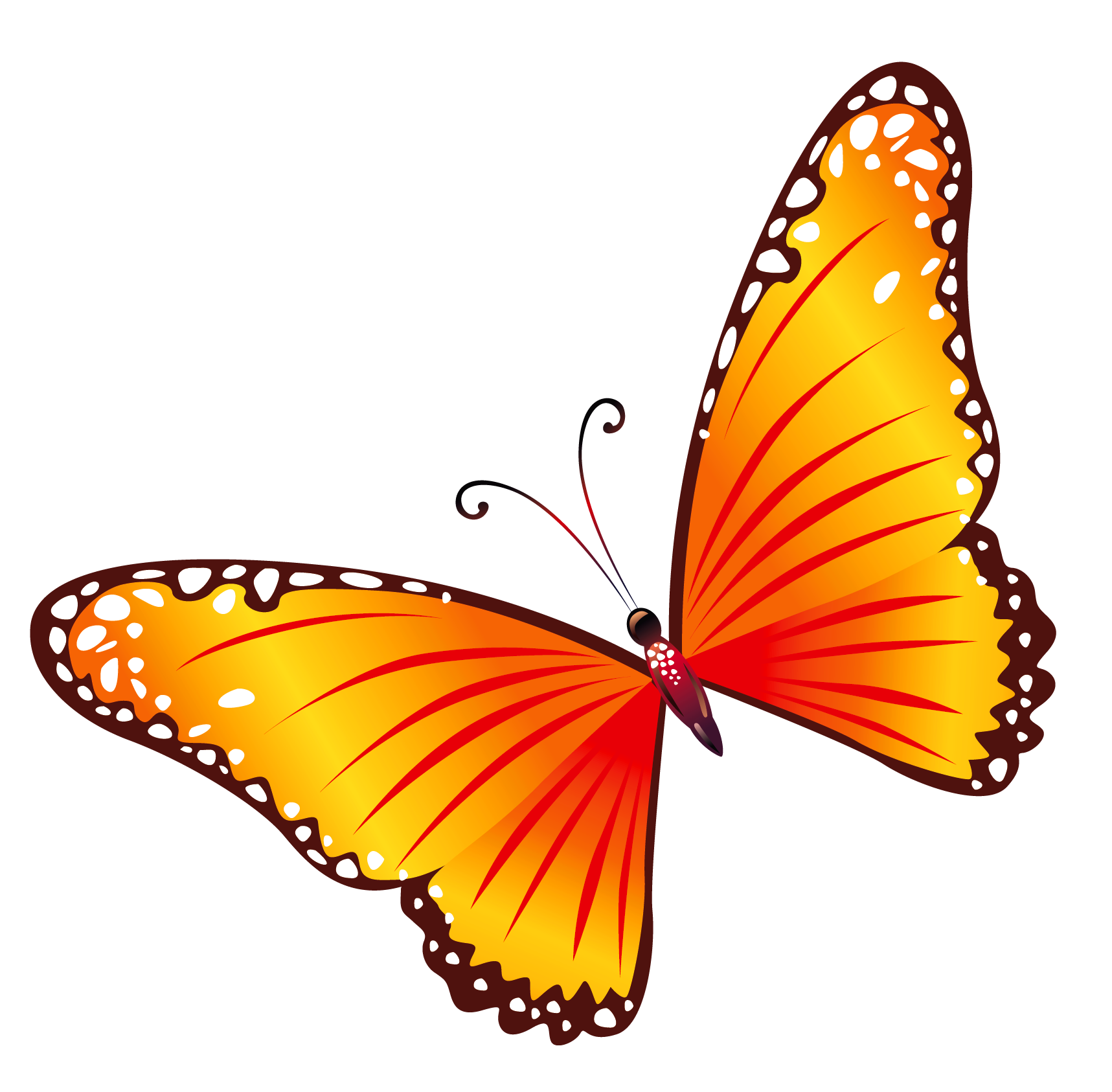 Butterfly PNG pngteam.com