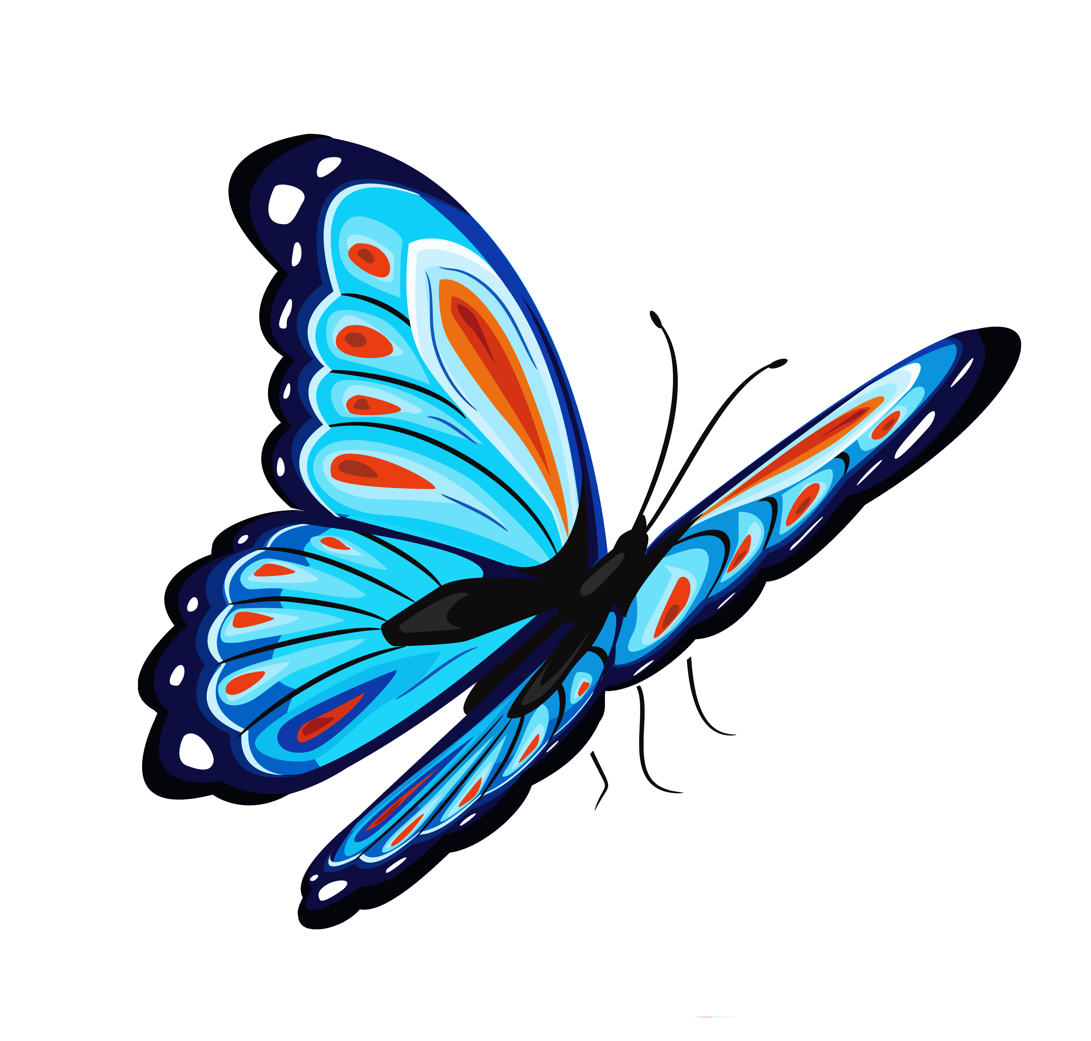 Butterfly PNG Images pngteam.com