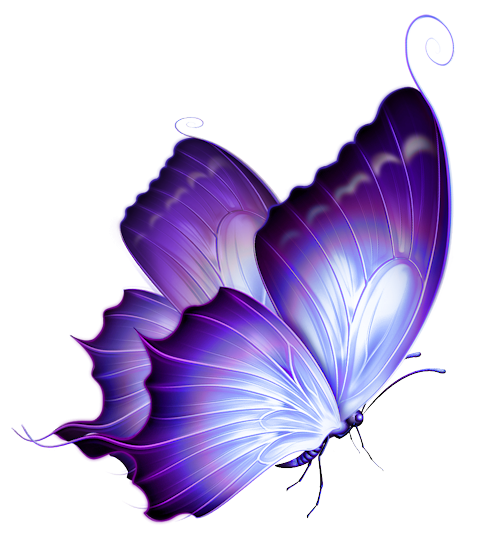 Butterfly PNG File pngteam.com