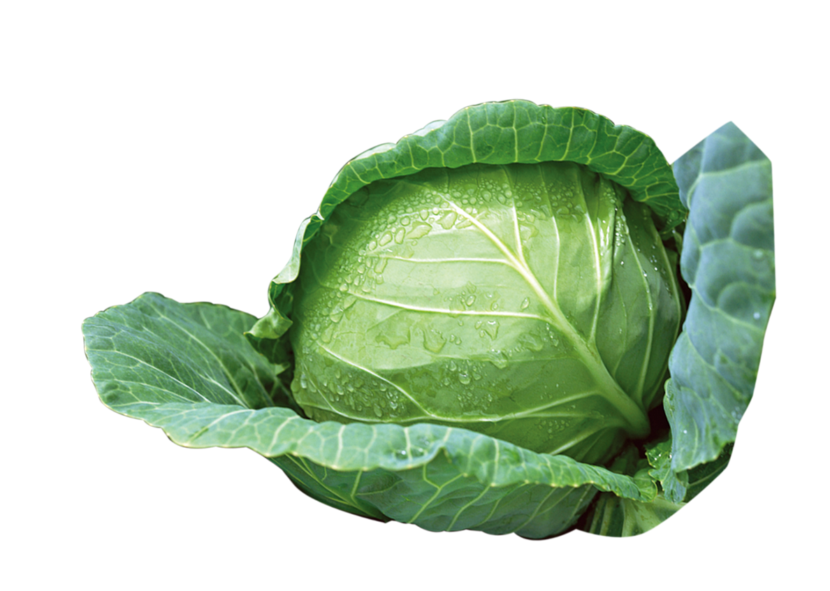 Cabbage PNG HQ pngteam.com