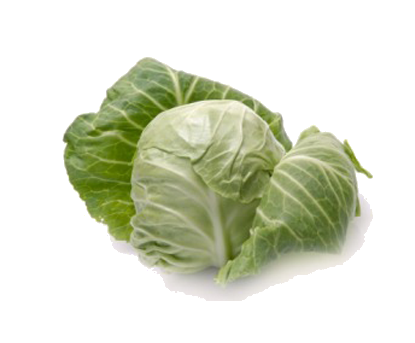 Cabbage PNG HD File pngteam.com