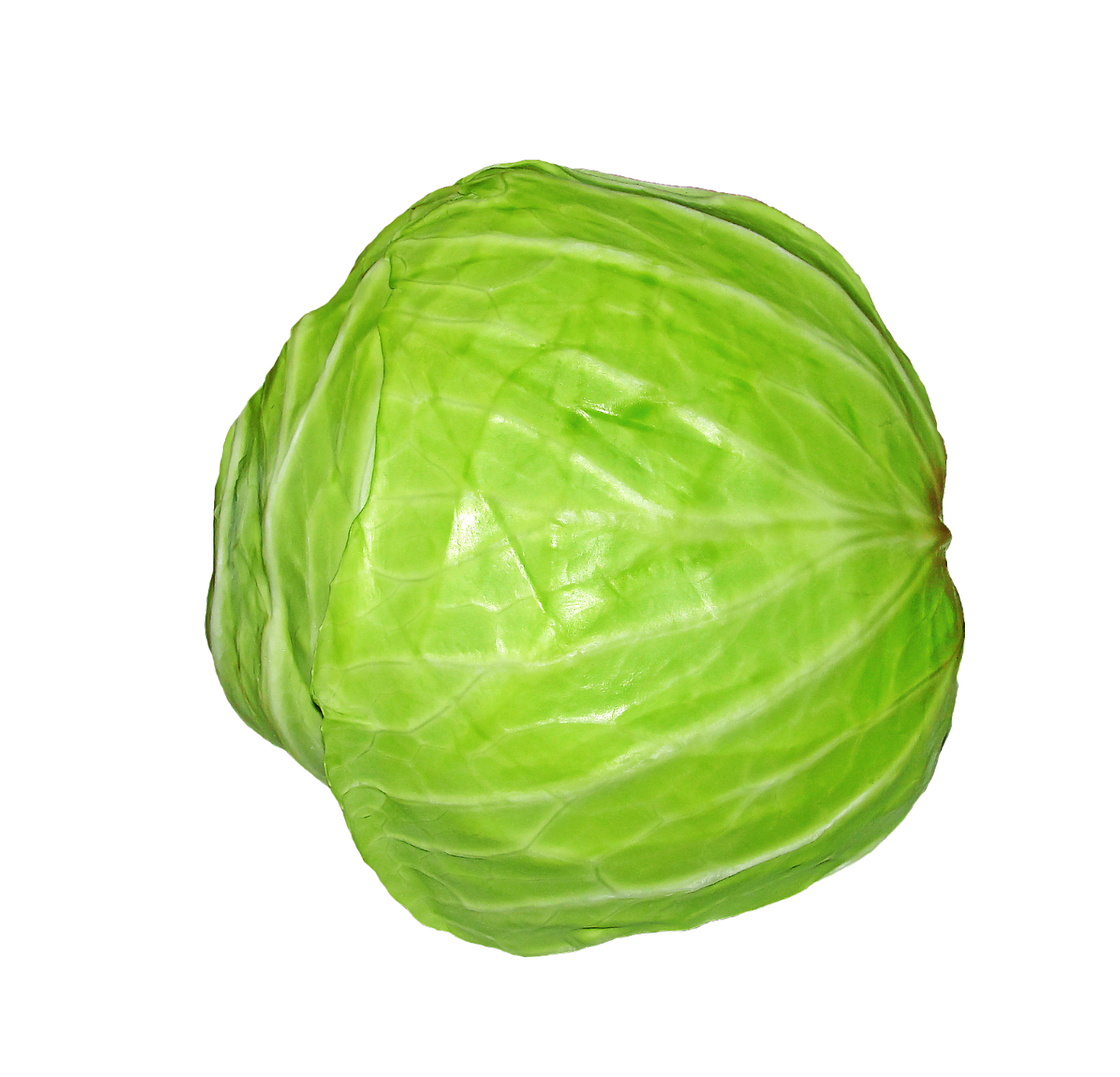 Cabbage PNG in Transparent pngteam.com