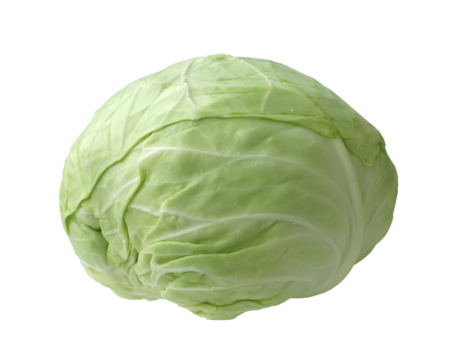 Cabbage PNG Photo pngteam.com