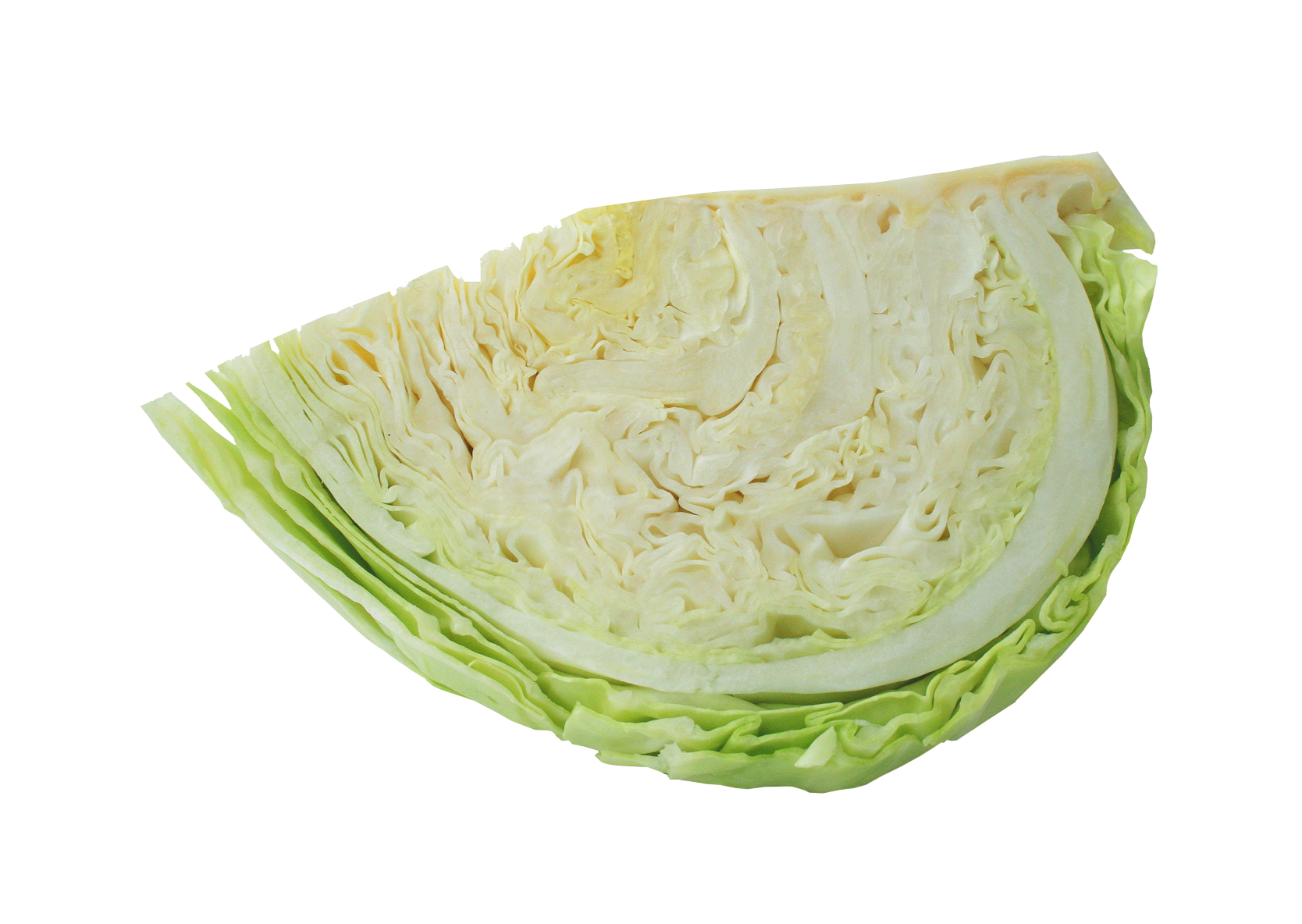 Cabbage PNG File pngteam.com