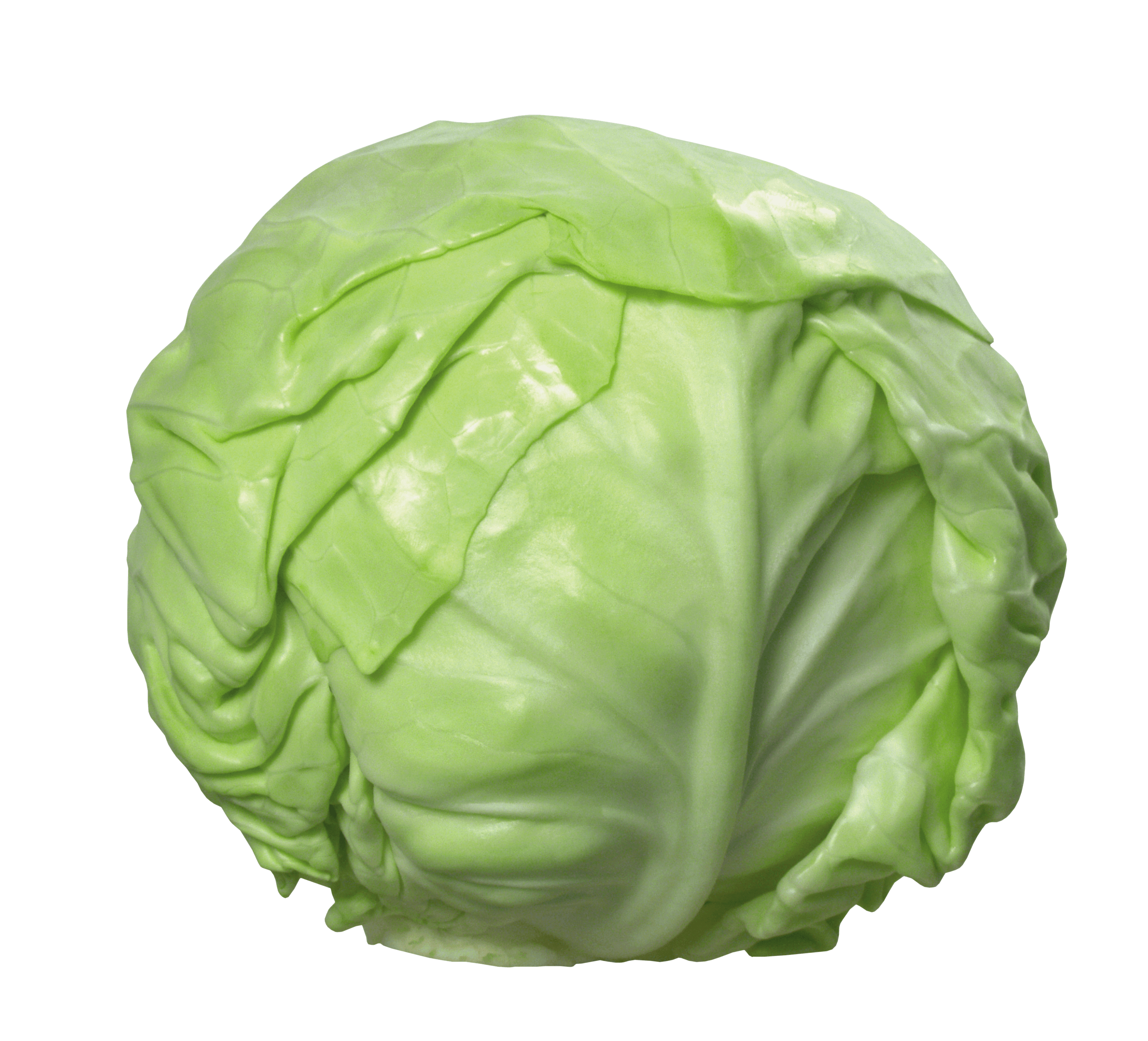 Cabbage PNG HD and HQ Image pngteam.com