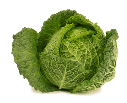 Open Cabbage PNG Picture pngteam.com