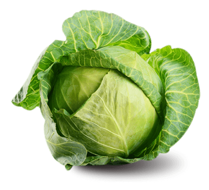 Open Cabbage Flower PNG File pngteam.com