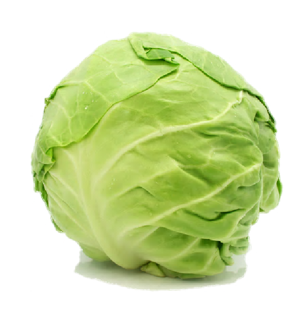 Cabbage PNG HD File pngteam.com