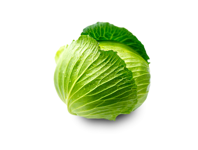 Cabbage PNG Transparent pngteam.com