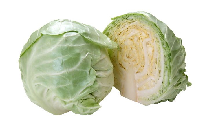 Cabbage PNG Transparent pngteam.com