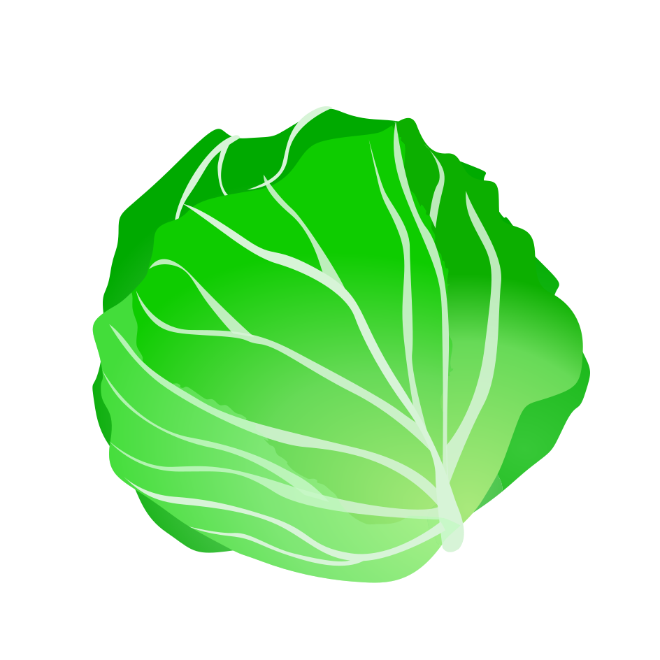 Cabbage PNG Transparent Background Images | pngteam.com