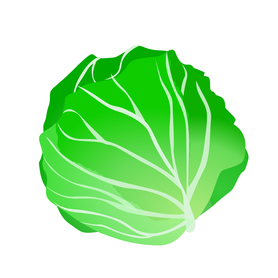 Cabbage Icon PNG HD Image pngteam.com