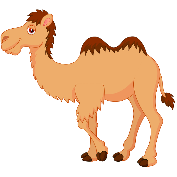 Camel PNG HQ pngteam.com