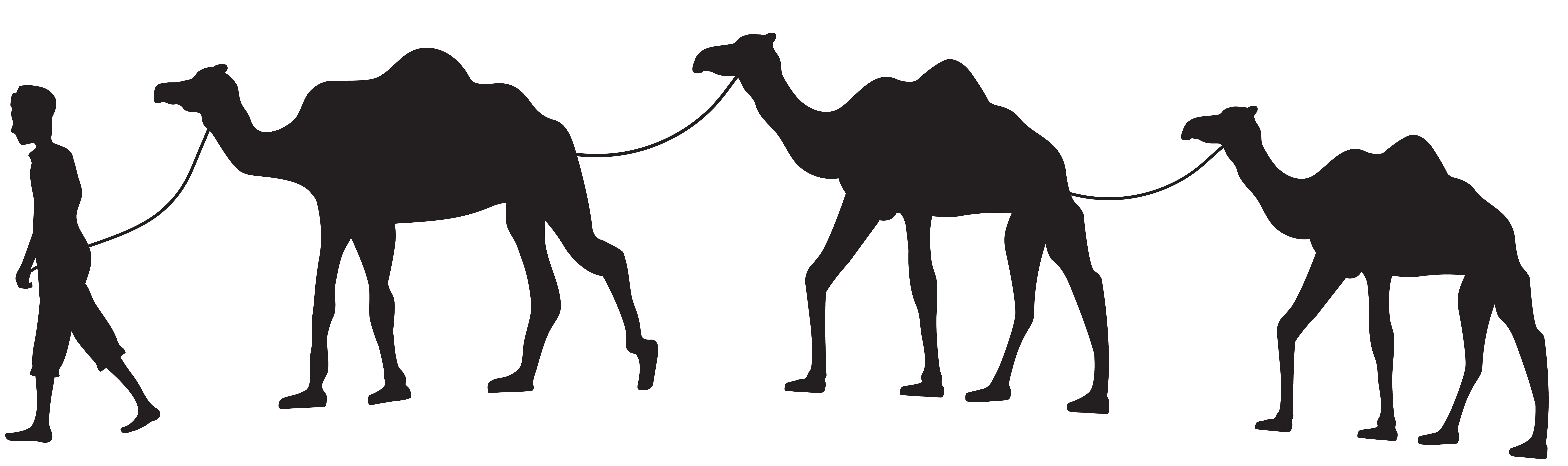 Camel PNG Best Image pngteam.com