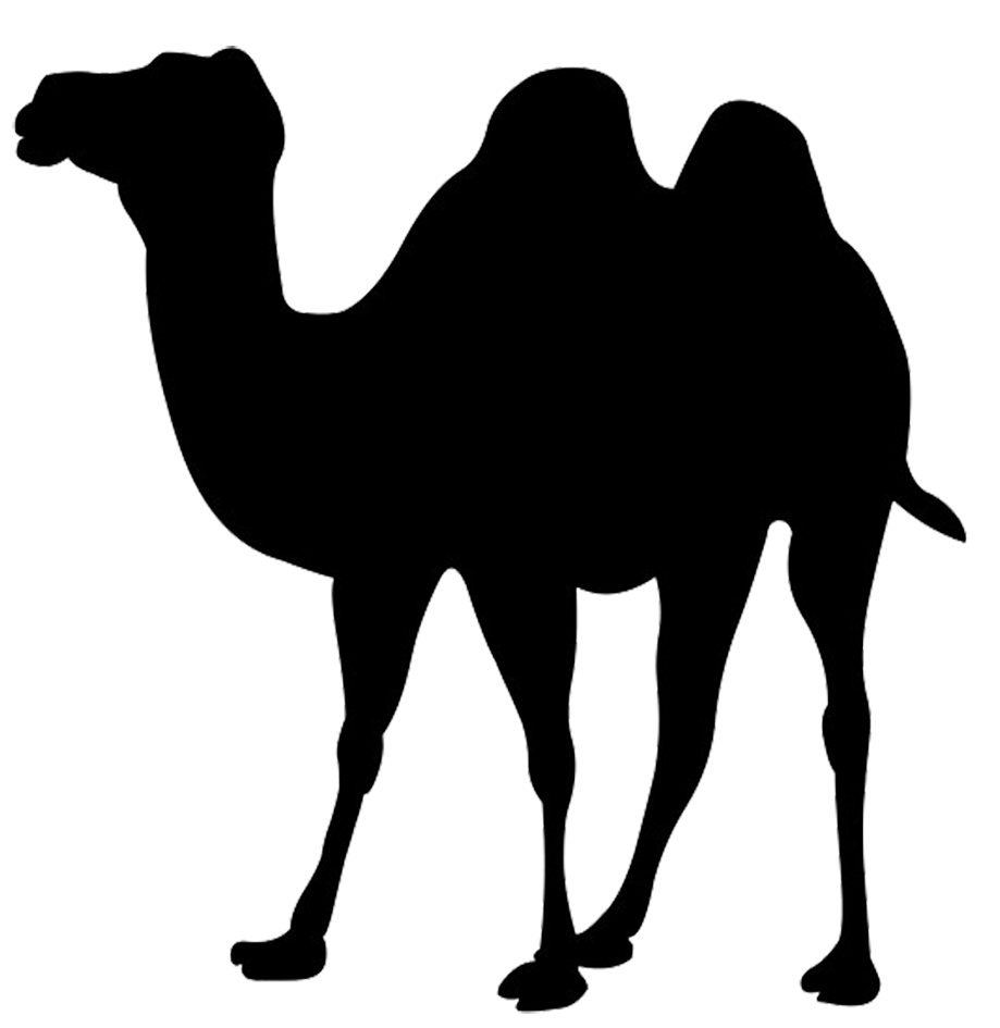 Camel PNG HD - Camel Png