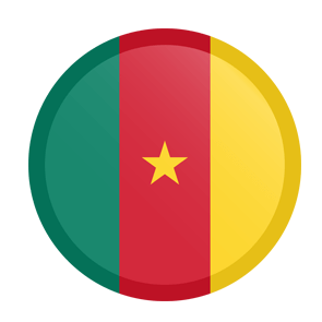 Cameroon Flag Icon PNG Image in High  TransparentDefinition - Cameroon Flag Png