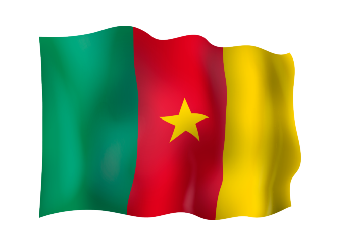 Waving Cameroon Flag PNG Transparent - Cameroon Flag Png