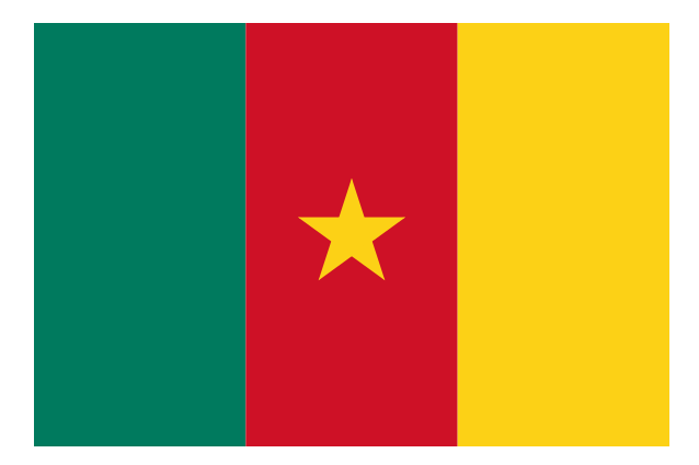 Cameroon Flag PNG