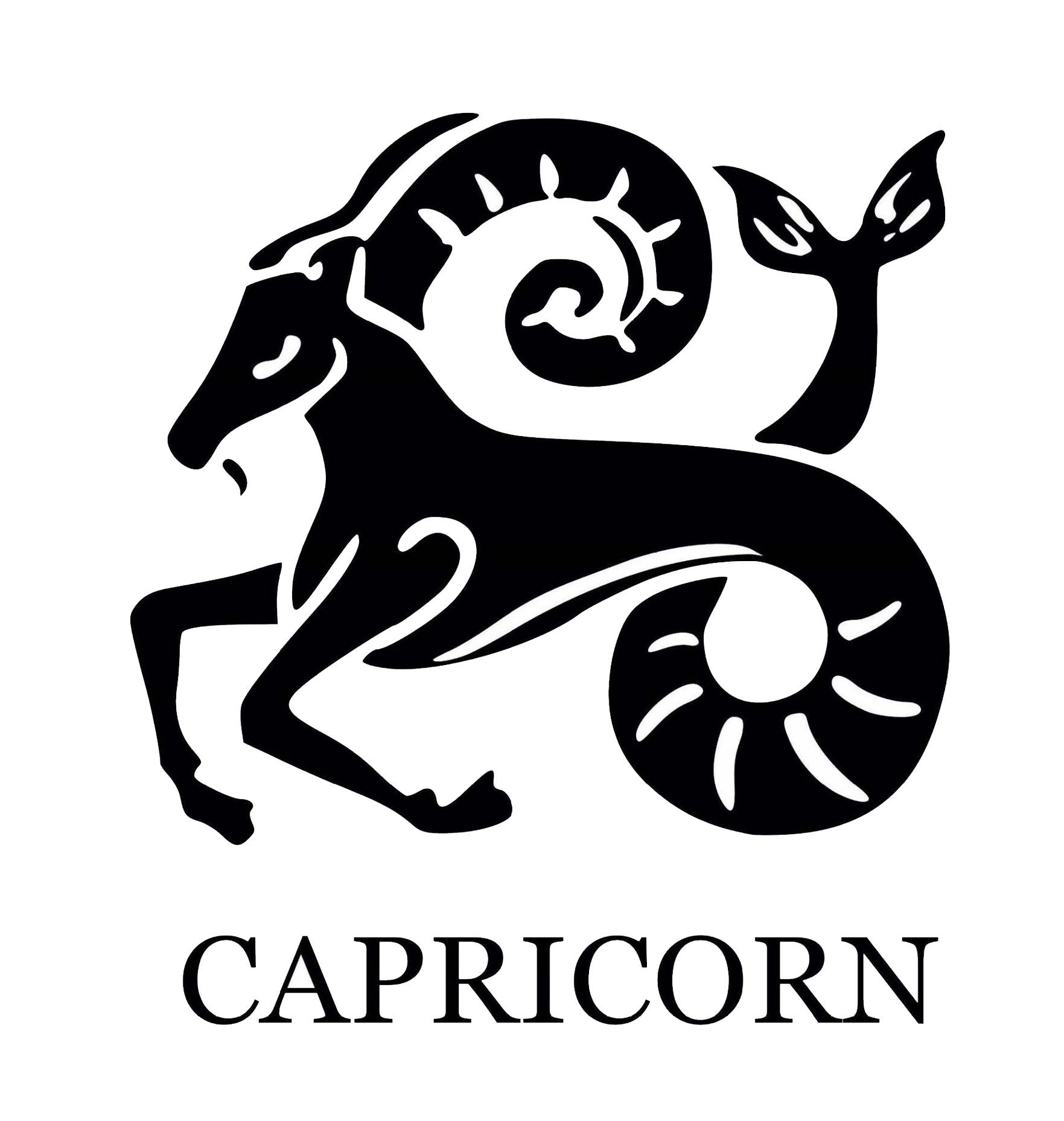 Capricorn PNG (Capricorns, who try to plan the future in detail, often ...