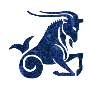 Capricorn PNG (Capricorns, who try to plan the future in detail, often ...