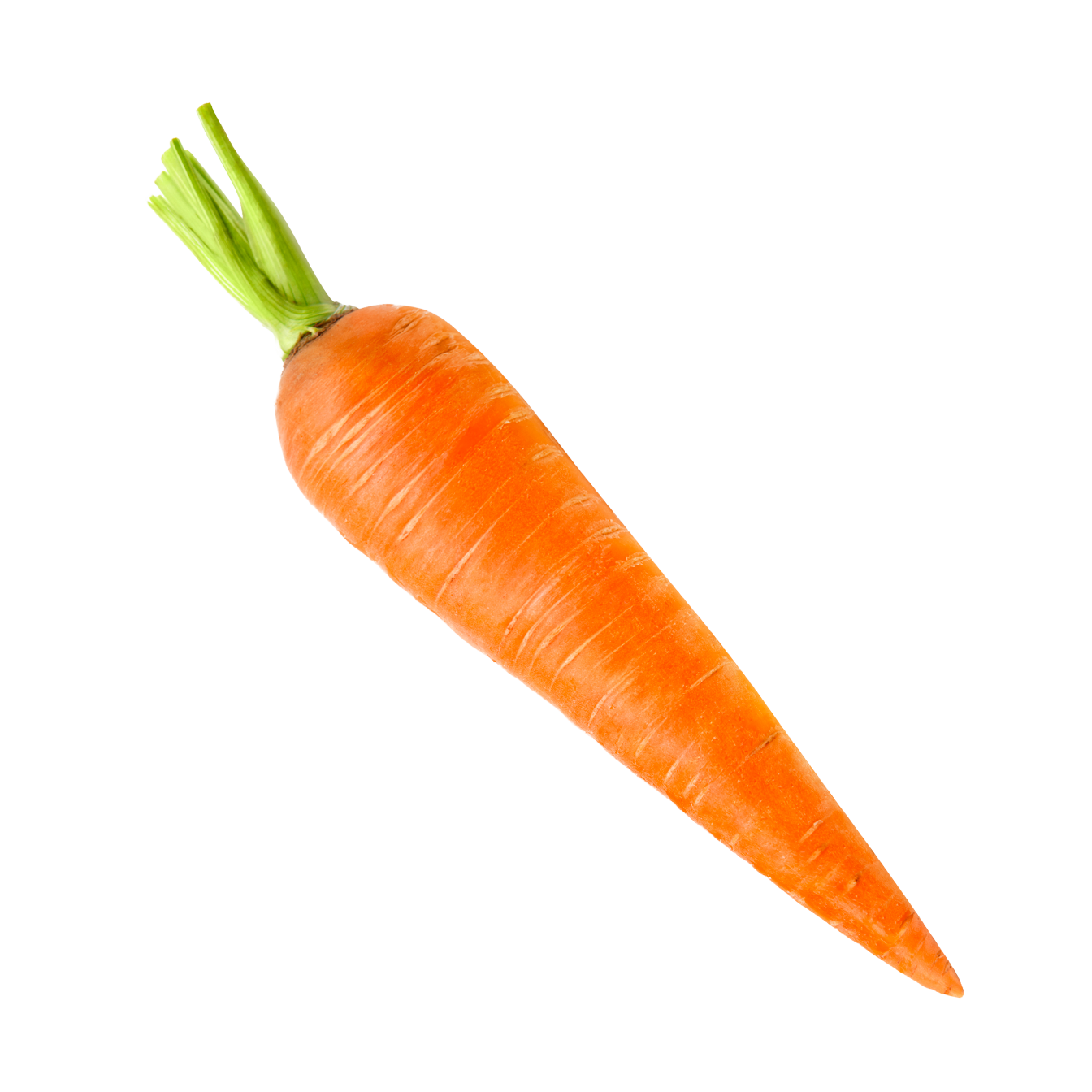 Orange Carrot PNG File