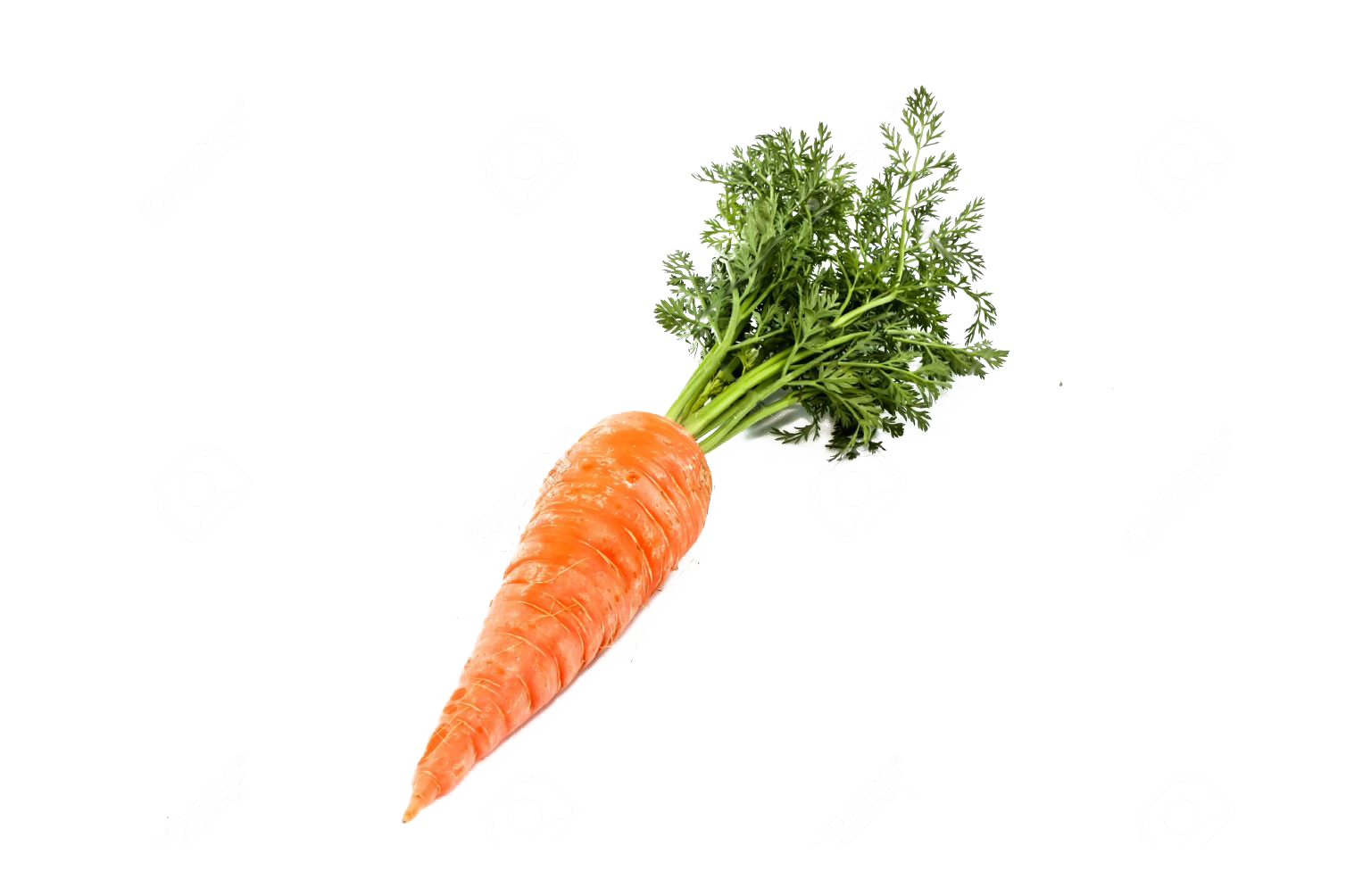 Single Carrot PNG HQ Image