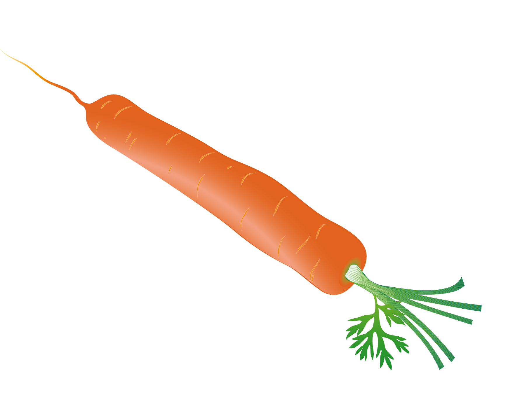 Carrot PNG HD File - Carrot Png