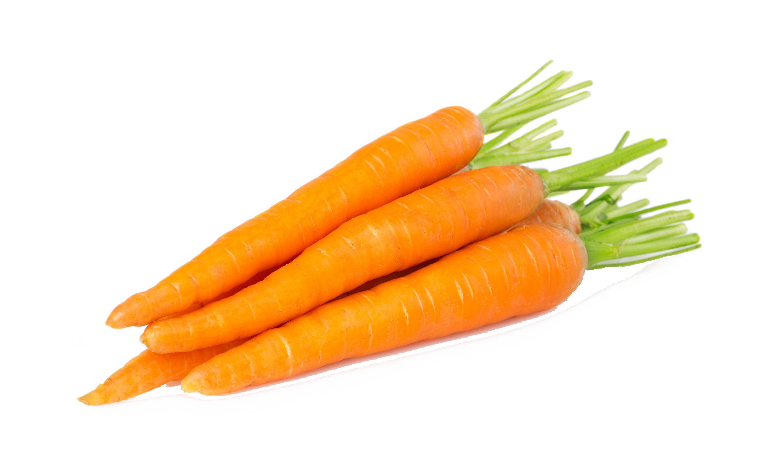 Carrot PNG Image in High Definition pngteam.com