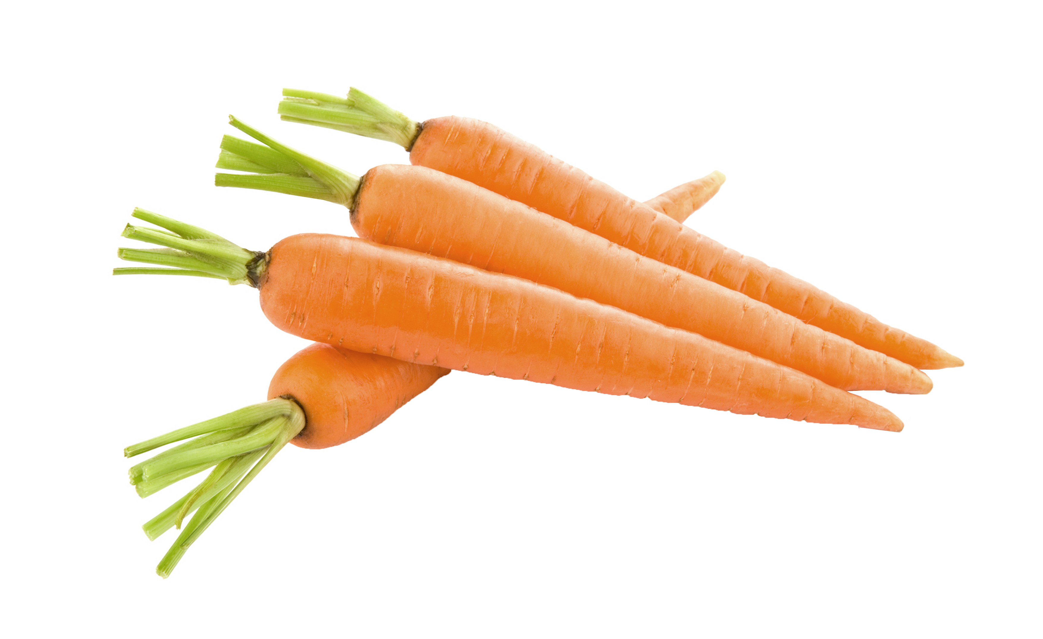 Carrot PNG Transparent pngteam.com