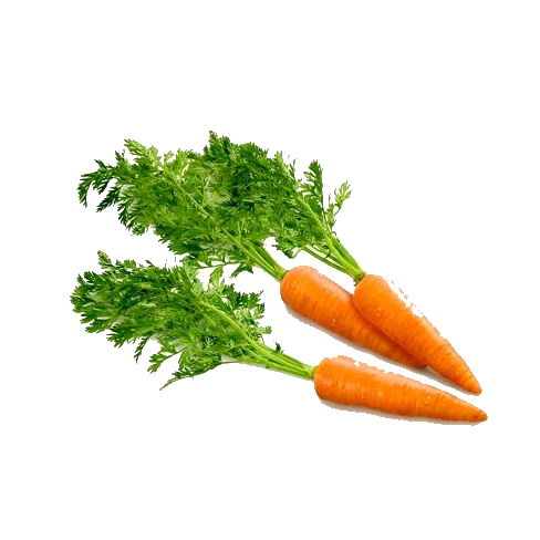 Carrot PNG HD File pngteam.com