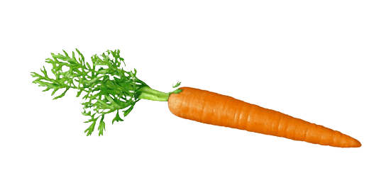 Carrot PNG HD pngteam.com