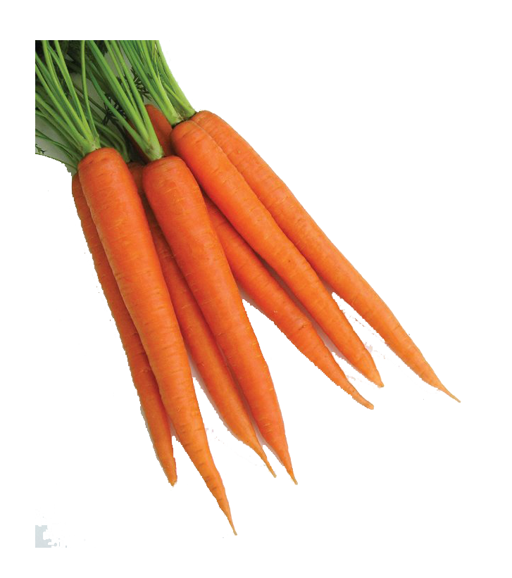 Carrot PNG Photo - Carrot Png