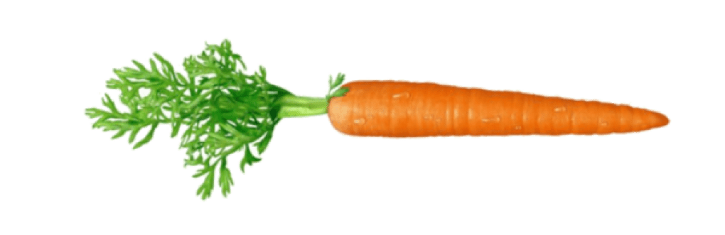 Carrot PNG HD - Carrot Png