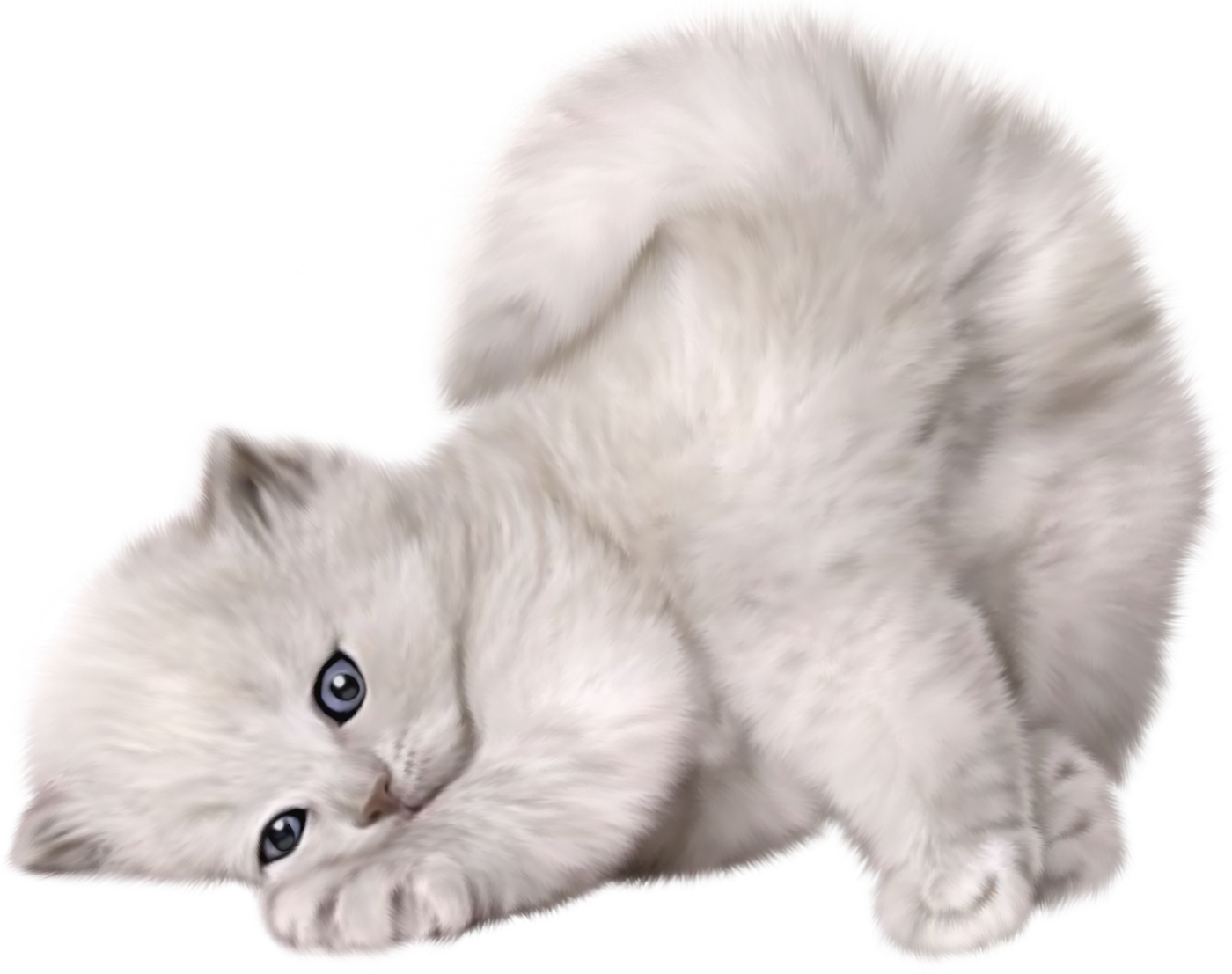 Cat PNG HD Image pngteam.com