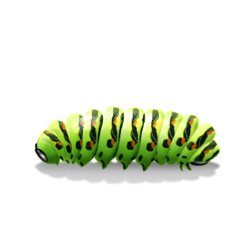 Caterpillar PNG in Transparent pngteam.com