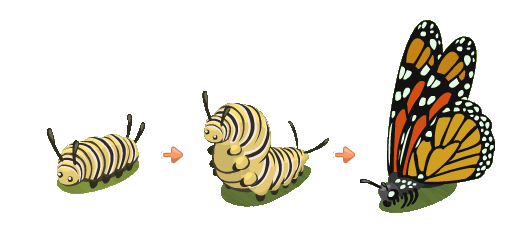 Caterpillar to Butterfly Transformation PNG Transparent pngteam.com