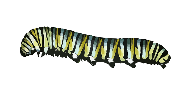 Caterpillar Icon PNG HD Transparent - Caterpillar Png