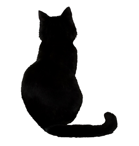 Black Cat Transparent pngteam.com