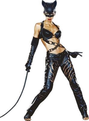 Catwoman PNG High Definition Photo Image pngteam.com