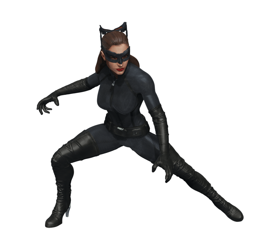 Catwoman PNG High Definition Photo Image 57877 890x1575 Pixel