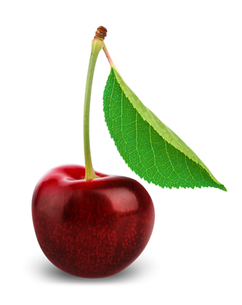 Cherry PNG in Transparent pngteam.com